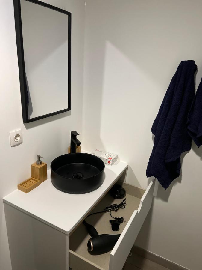 Hypercentre Face Au Canal Du Midi Appartement